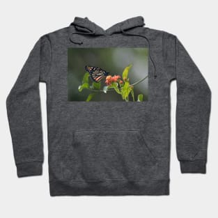 Monarch on Mexican Flame Hoodie